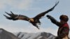 Kyrgyzstan -- A Kyrgyz berkutchi (eagle hunter) releases his bird, a golden eagle, during the hunting festival "Salburun" in the village of Alysh, March 13, 2016